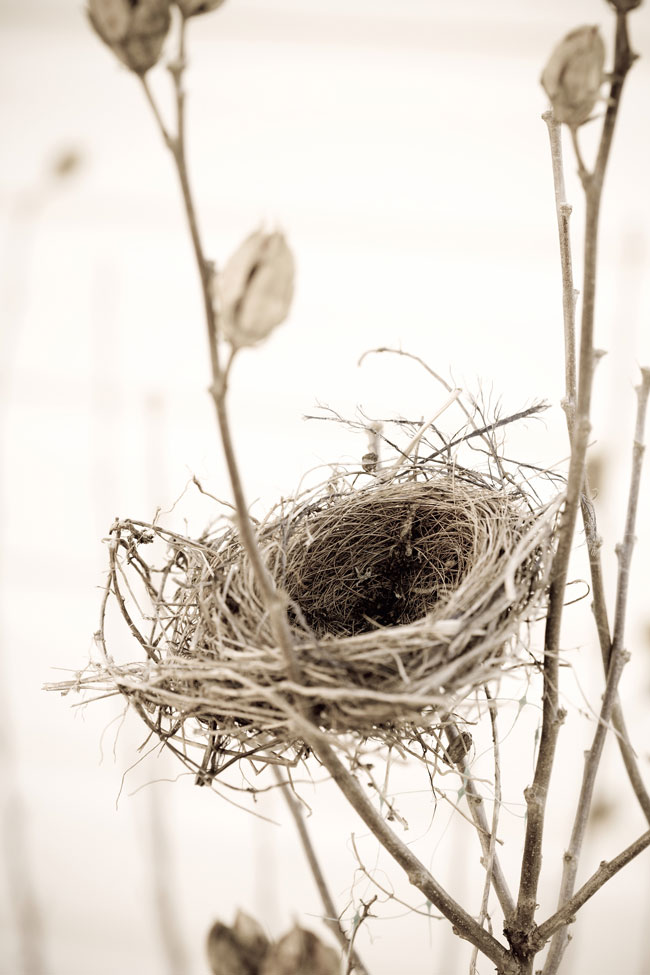 Cornelia Romann Leeres Nest Coaching